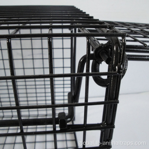 Rabbit Raccoon Metal Trap Black Powder Coated Metal Trap Manufactory